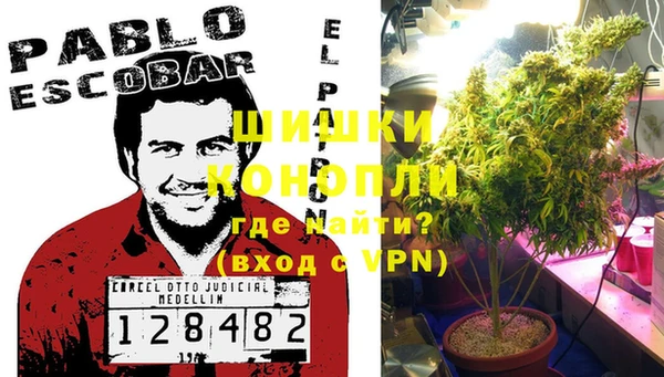 хмурый Белокуриха