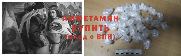 хмурый Белокуриха