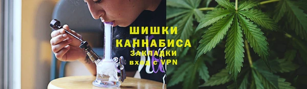 метадон Богданович