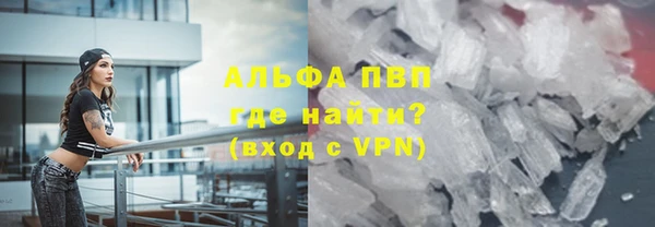 хмурый Белокуриха