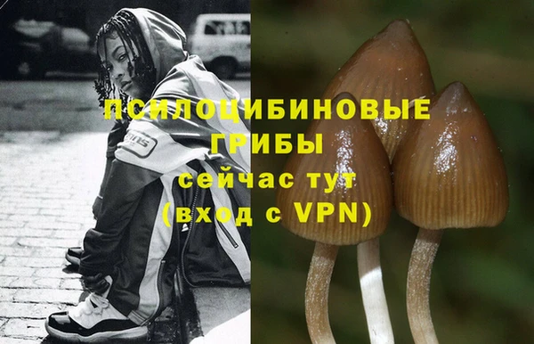 ПСИЛОЦИБИНОВЫЕ ГРИБЫ Беломорск