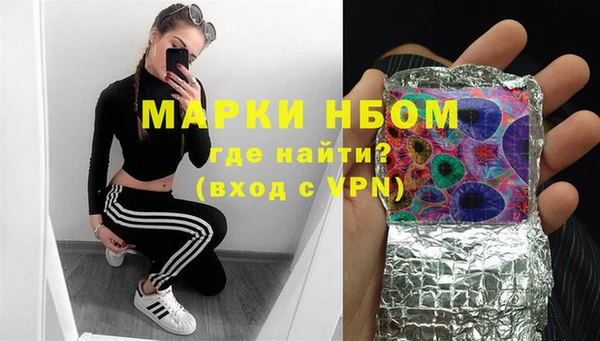 хмурый Белокуриха