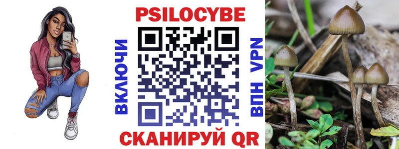 где продают   Белокуриха  shop клад  Галлюциногенные грибы Psilocybe 